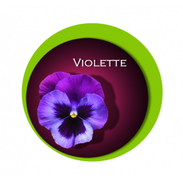 Glace  Violette 2. 5 Litres...