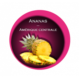 Sorbet  Ananas 2.5 Litres...