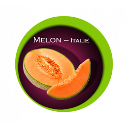 Sorbet  Melon 2.5 Litre ANGELO